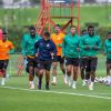 CAN 2025 Faé prévoit un groupe de 30 Éléphants pour le stage en Espagne