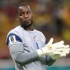 Lionel Mpasi-Nzau a réalisé 8 arrêts face à la Colombie malgré la défaite de la RD Congo.